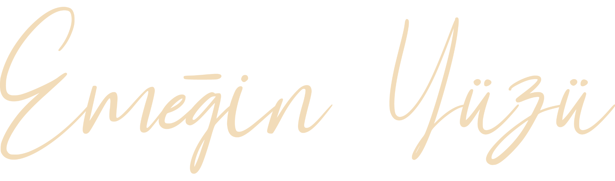 Emeğin Yüzü